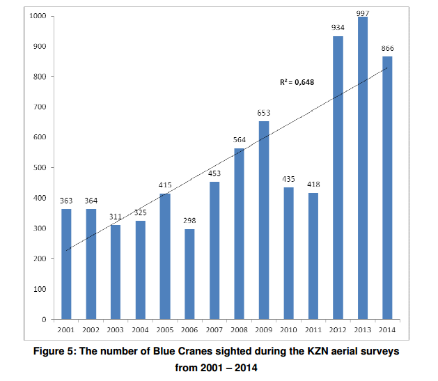 blue-crane-survey