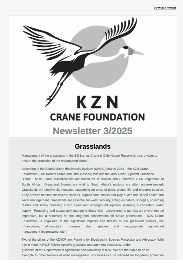 CleanShot 2025-04-17 at 13.18.08@2x