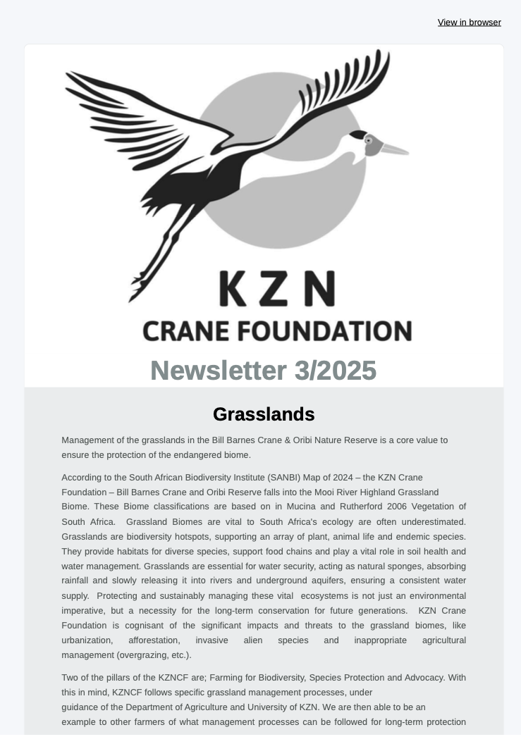 CleanShot 2025-04-17 at 13.18.08@2x