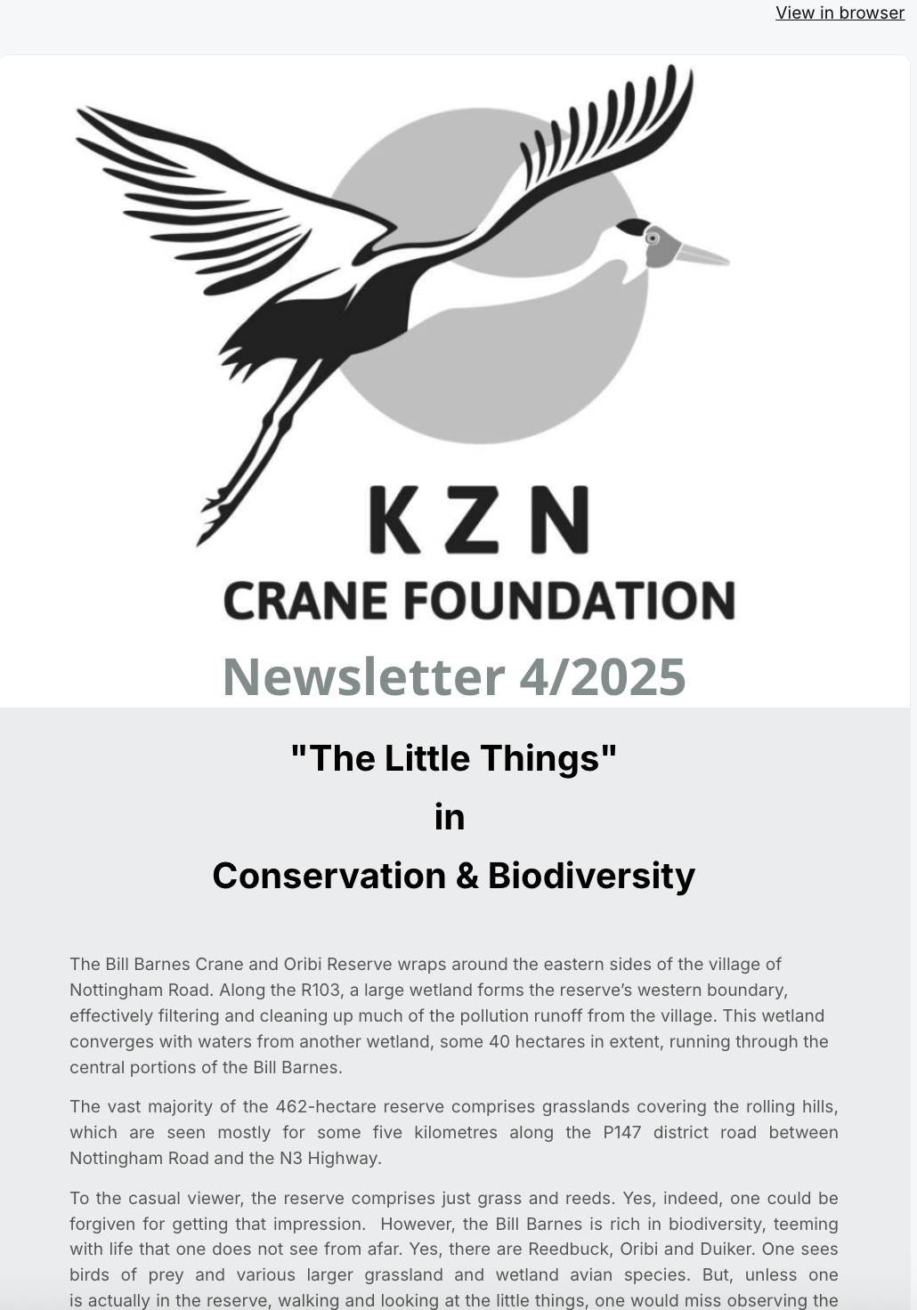 Newsletter -4